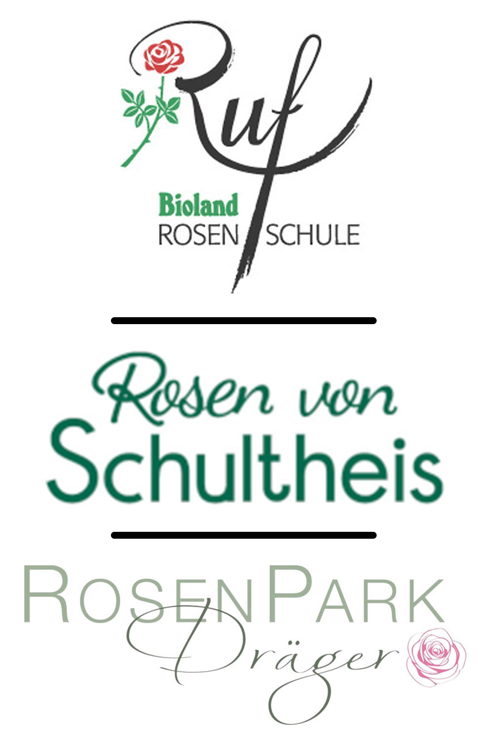 Rosenbetriebe Rosentage